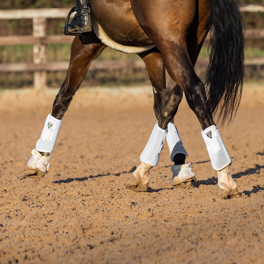 Equilibrium Tri Zone All Sports Boots 10/10 Horse & Hound Review FREE P&P 