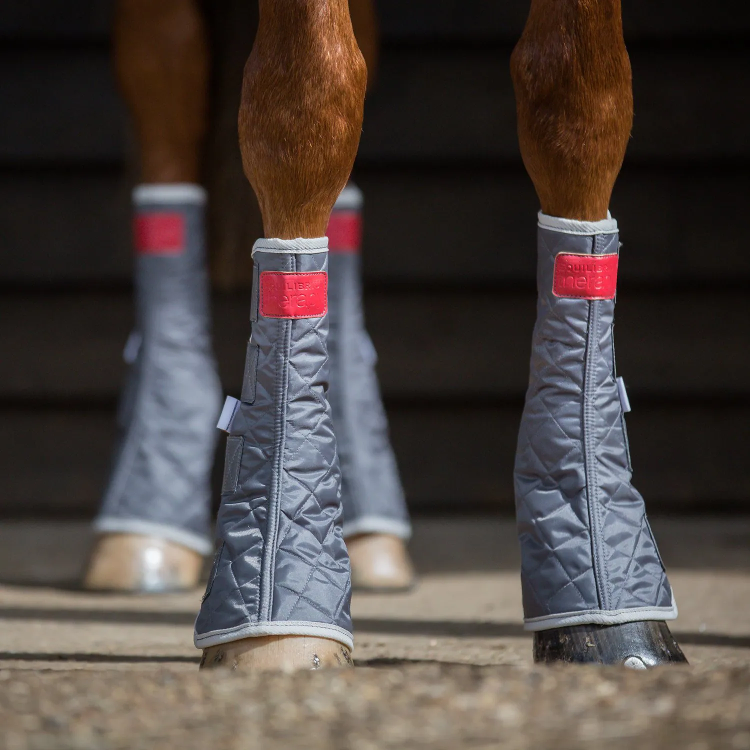 Stable Boots Leg Wraps Equilibrium Equi-Chaps Stable Chaps All Sizes 