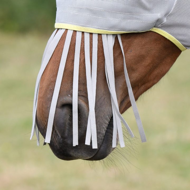 Field-Relief-Muzzle-Fringe-Grey-scaled