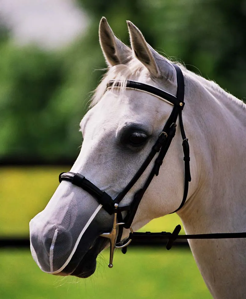 COB/HORSE PONY XL WHITE Nose Net 4 sizes   SMALL PONY NEW.