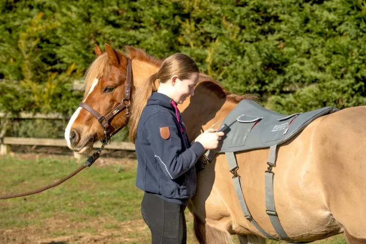 Pony-Massage-Pad-in-Use-scaled