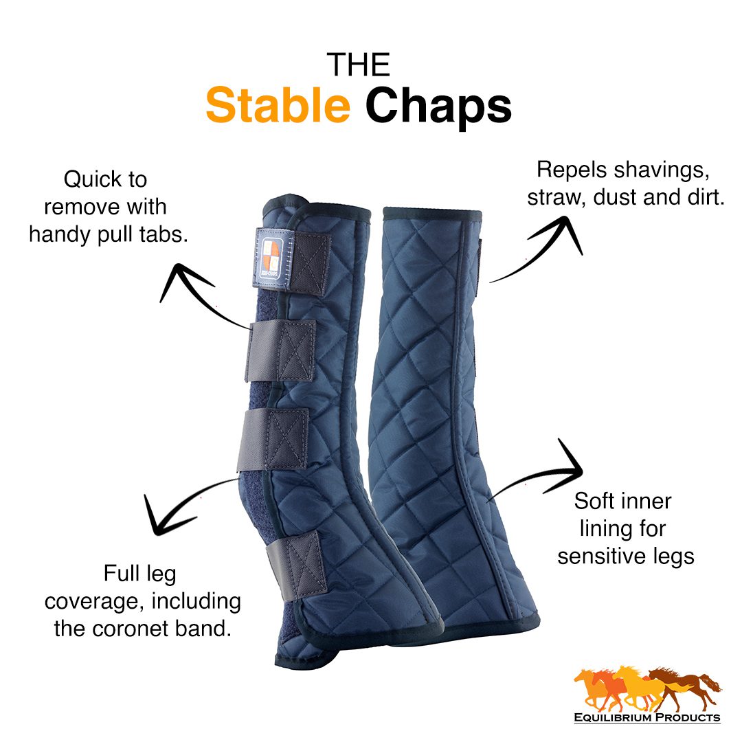 Soft & Comfortable Stable Boots All Sizes Equilibrium Equi-Chaps Stable Chaps 