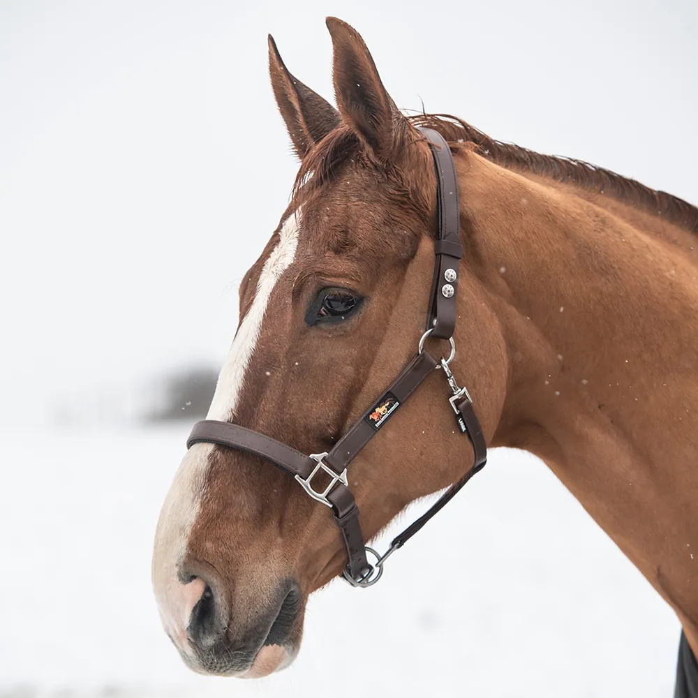 Official Libby's Field Headcollar Pony Cob Full Horse Equine 