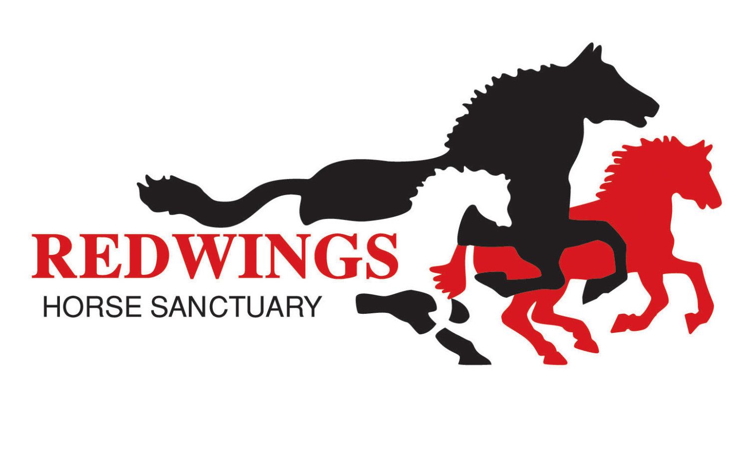 Redwings logo